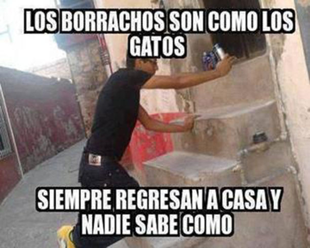 Informacin que cura.